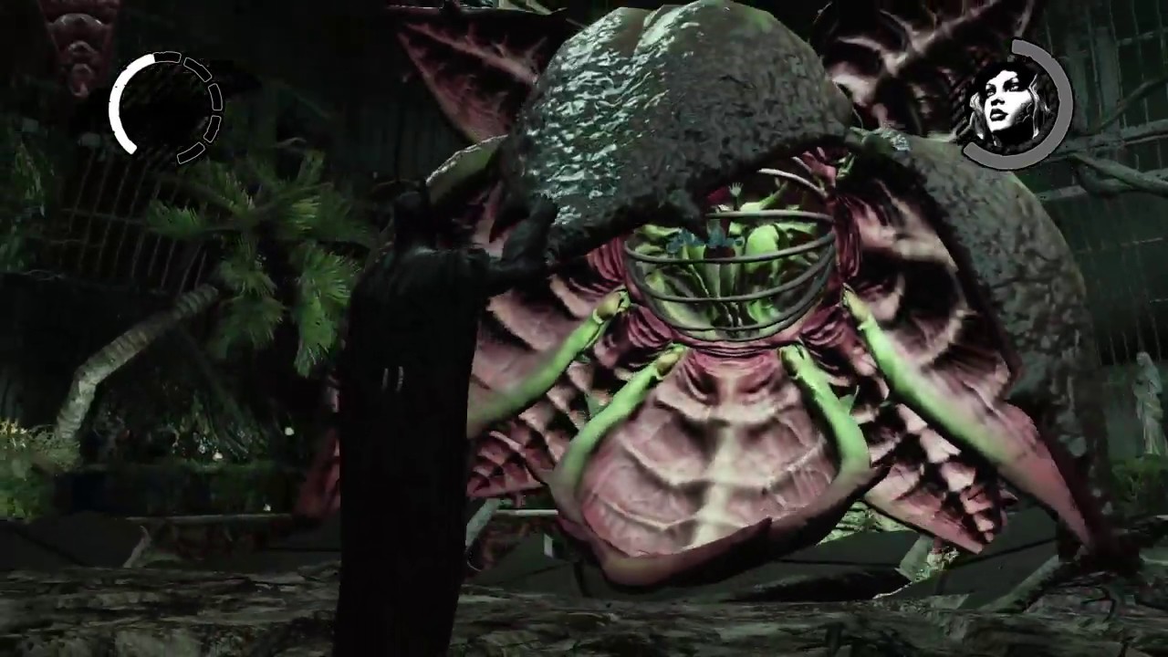 Batman Arkham Asylum Poison Ivy Fight