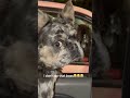 We both confused