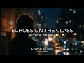 Echoes on the glass #lyricalsong #song