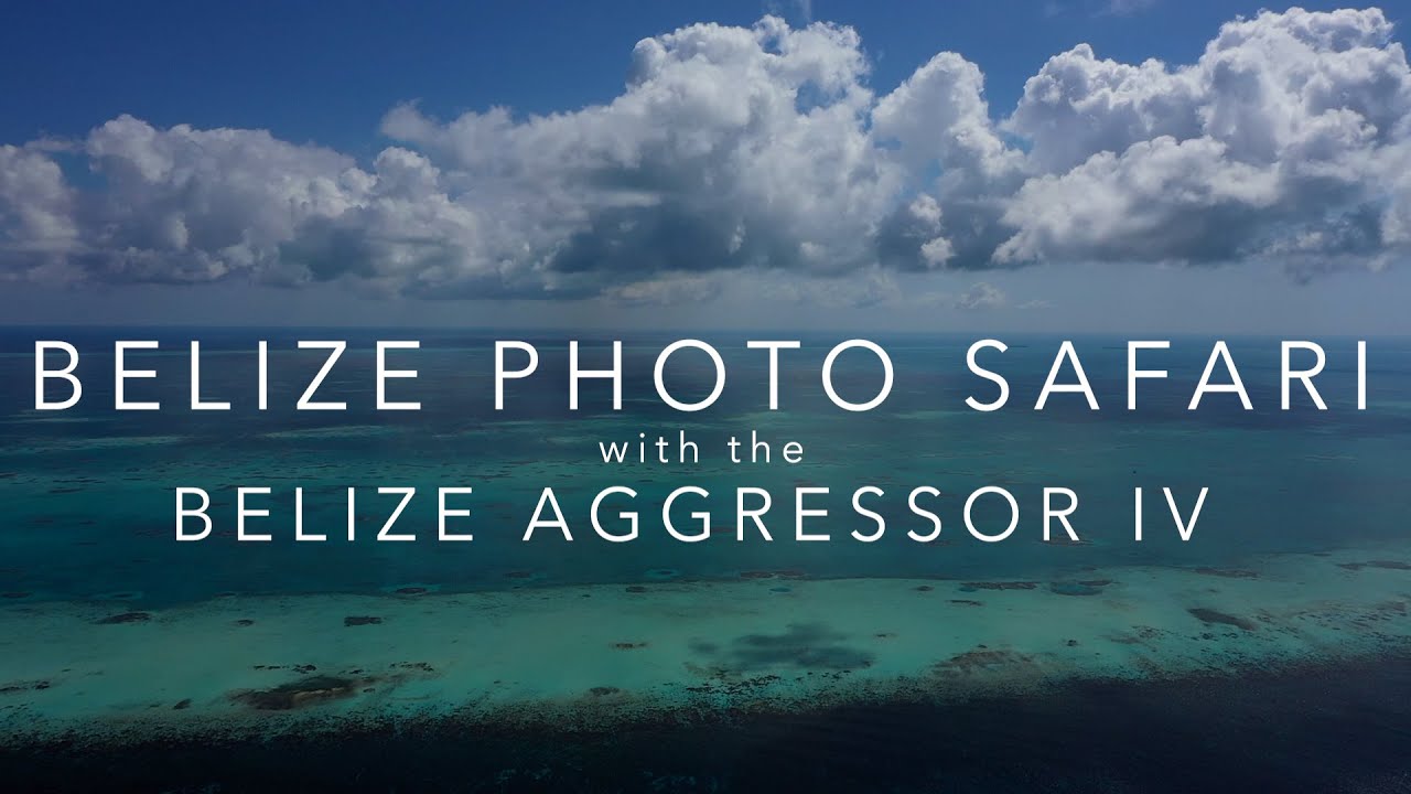 Belize Photo Safari with Belize Aggressor IV