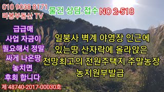 의령땅 지주분이 사업 자금이 필요해서 가격이 정말 싸게 나온땅 2625(794평)제곱미터  매매 6000만원 올라앉은 전망최고 전원주택지 주말농장 (창녕땅 매매) 따봉부동산 TV