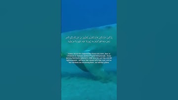 سورة البقرة من الاية 62 الي الاية 63 بصوت القارئ محمود علي البنا