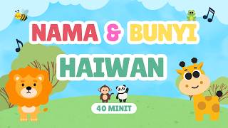 (40 Minit) Mari Mengenal NAMA &  BUNYI HAIWAN 🐼🐷🦓🐯| Mari Belajar Mengenal Haiwan | ABC Bahasa Melayu
