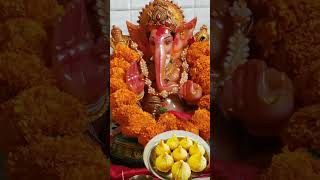 Ganesh Chaturthi Whatsapp Status | Ganpati Bappa Morya | Happy Ganesh Chaturthi