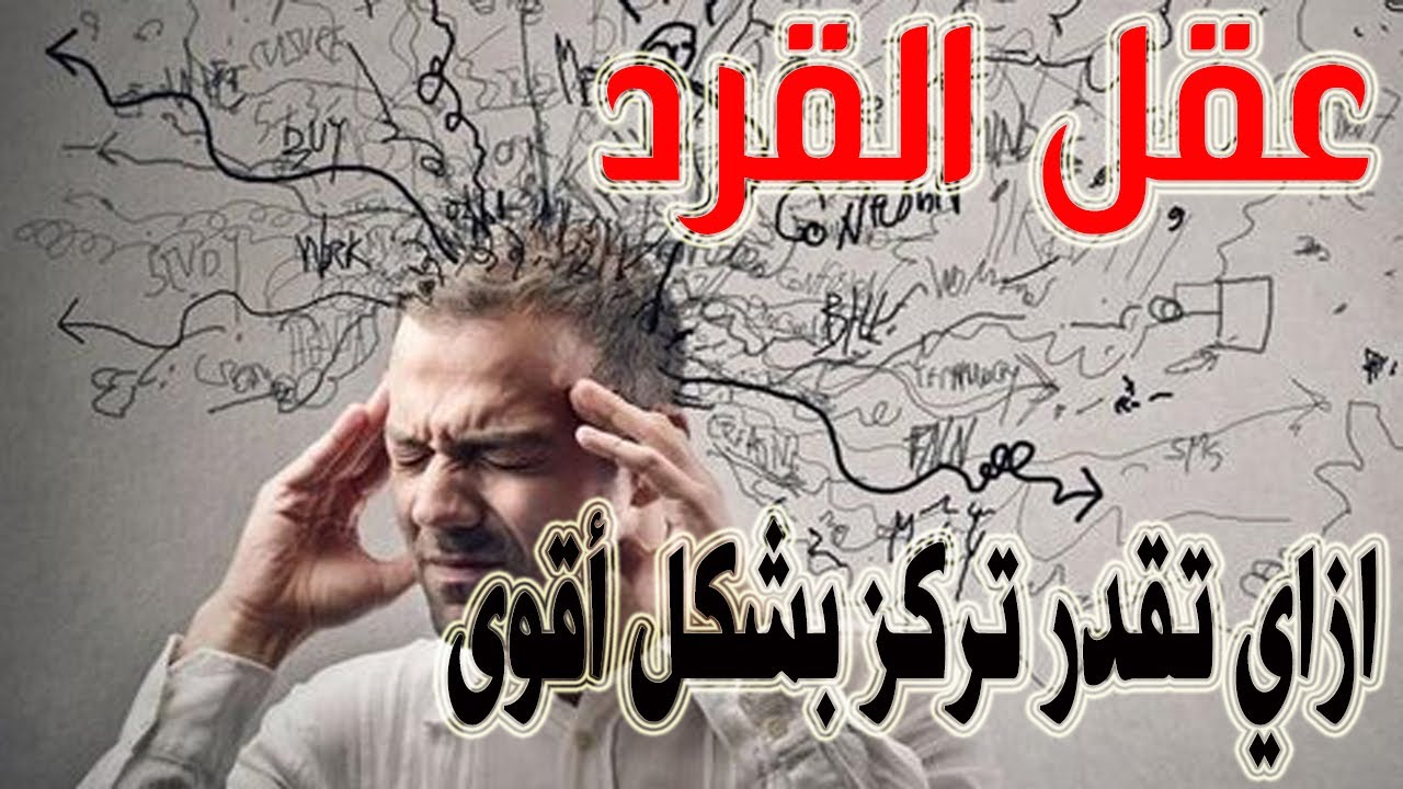 عقل القرد - ازاي تقدر تركز بشكل أقوى - فيديو هيغير حياتك أ/معتز عزمي