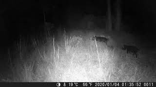 Florida Hunting Lease - HLRBO