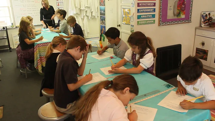 Jumping Frogs-A lesson in force, energy, and motio...