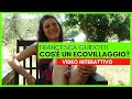 Cos'è un ecovillaggio? | VIDEO INTERATTIVO (DA APP E PC)