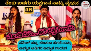 ನೋಡಿದನು ಕಲಿ ರಕ್ತಬೀಜನು | ಯಕ್ಷಗಾನ ನಾಟ್ಯ ವೈಭವ | Patla Sathish Shetty | Amrutha Adiga | Chinthana Hegde