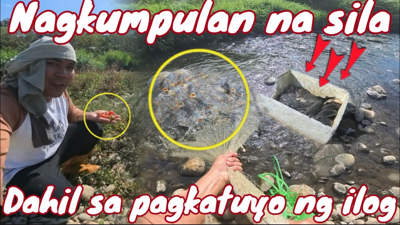 Binalikan ko ang natutuyong ilog nakakagulat gainto kaagad ang bungad saakin!
