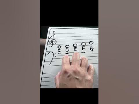 Piano Basics - Fingering the Notes CDEFG on the Treble Clef - YouTube