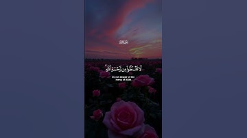قل يا عبادي الذين أسرفوا على أنفسهم لا تقنطوا من رحمة الله || سورة الزمر || القارئ: ناصر القطامي