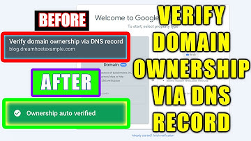 How to Fix Verify Domain Ownership Via DNS Record on Google Search Console For Wordpress and Wix