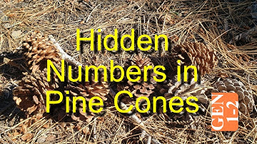 Hidden Numbers in Pine Cones