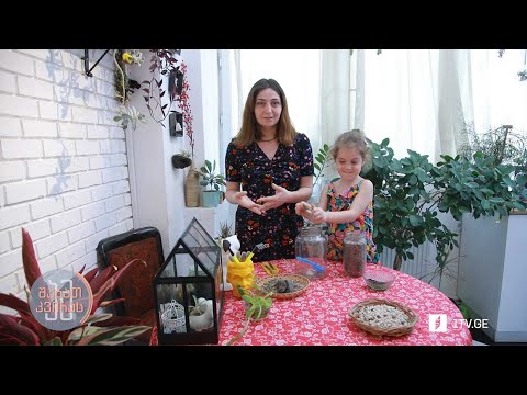 რუბრიკის ,,O2” მასპინძელია ფოტოგრაფი და პირველი არხის სოციალური მედიის მენეჯერი ნინუცა კაკაბაძე