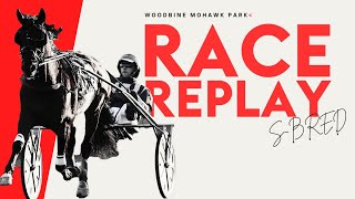 Mohawk, Sbred, February 10, 2025 Race 1 | Woodbine Horse Race Replay