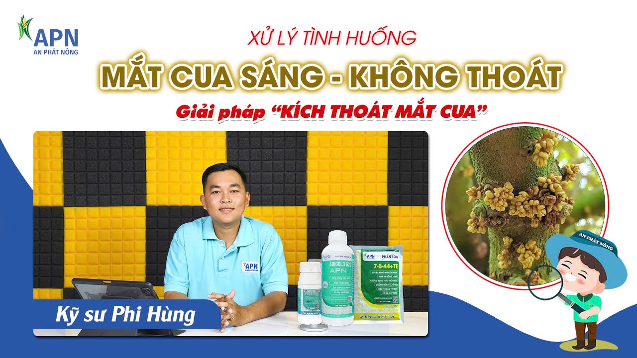 APN - KÍCH THOÁT MẮT CUA - KHẮC PHỤC TÌNH HUỐNG MẮT CUA SÁNG NHƯNG KHÔNG THOÁT