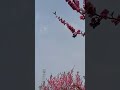 懐旧、舟木一夫さん「名月赤城山」。1939年の東海林太郎の代表曲で、群馬県の赤城山を国定忠治が去る心境を歌ったもの。僕の知人に国定さんという方がいたけどやはり国定忠治のような生き方でしたね〜。