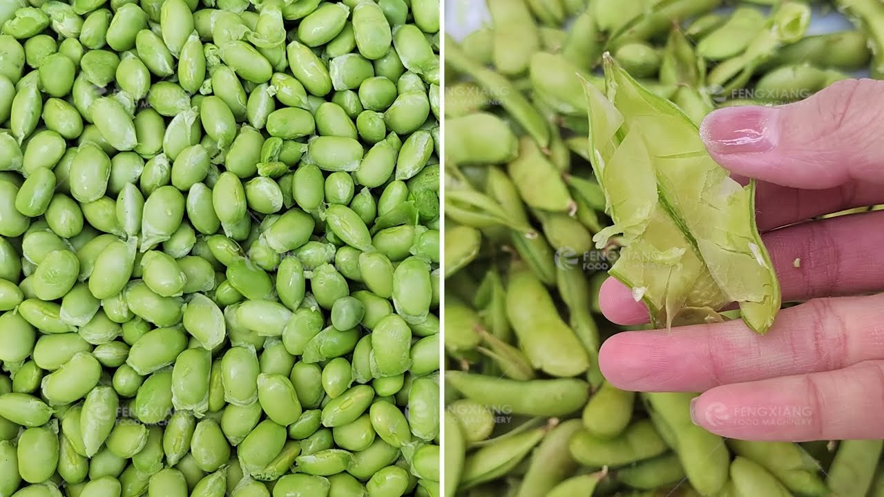 Bean Sheller Equipment Mung Green Beans Peeling Dehusk Machine