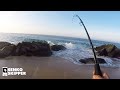 Hooking HUGE Mysterious fishes while beach fishing!