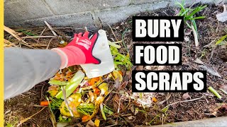 What happens when you bury Food Scraps in a hole for several weeks
