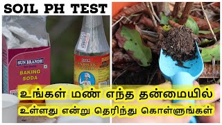 How to test your Soil PH using Simple household Materials
