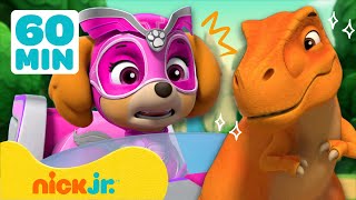 :   | " ":    ! | Nick Jr. Cyrillic