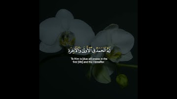 القارئ عبدالملك الراجح - سورة القصص تلاوه خاشعه