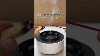 Esto es Surrealista😅 #cenicero  #ceniceros #ceniceroabsorbehumo #cenicerointeligente #casa #hogar