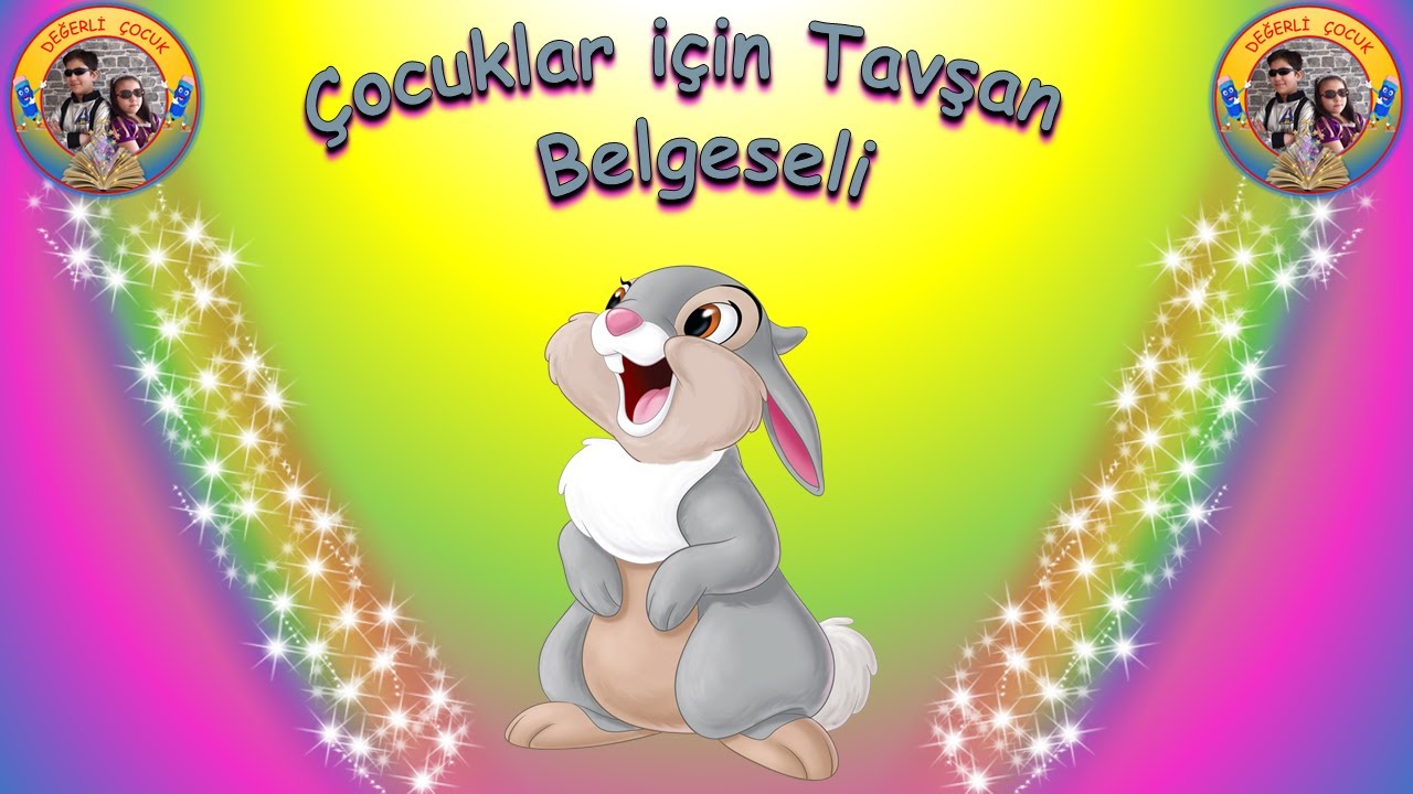 Çocuklar için tavşan belgeseli