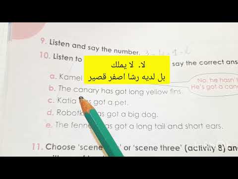 التمرين 10 صفحة 48 من الكتاب المدرسي لغة إنجليزية سنة ثالثة إبتدائي
