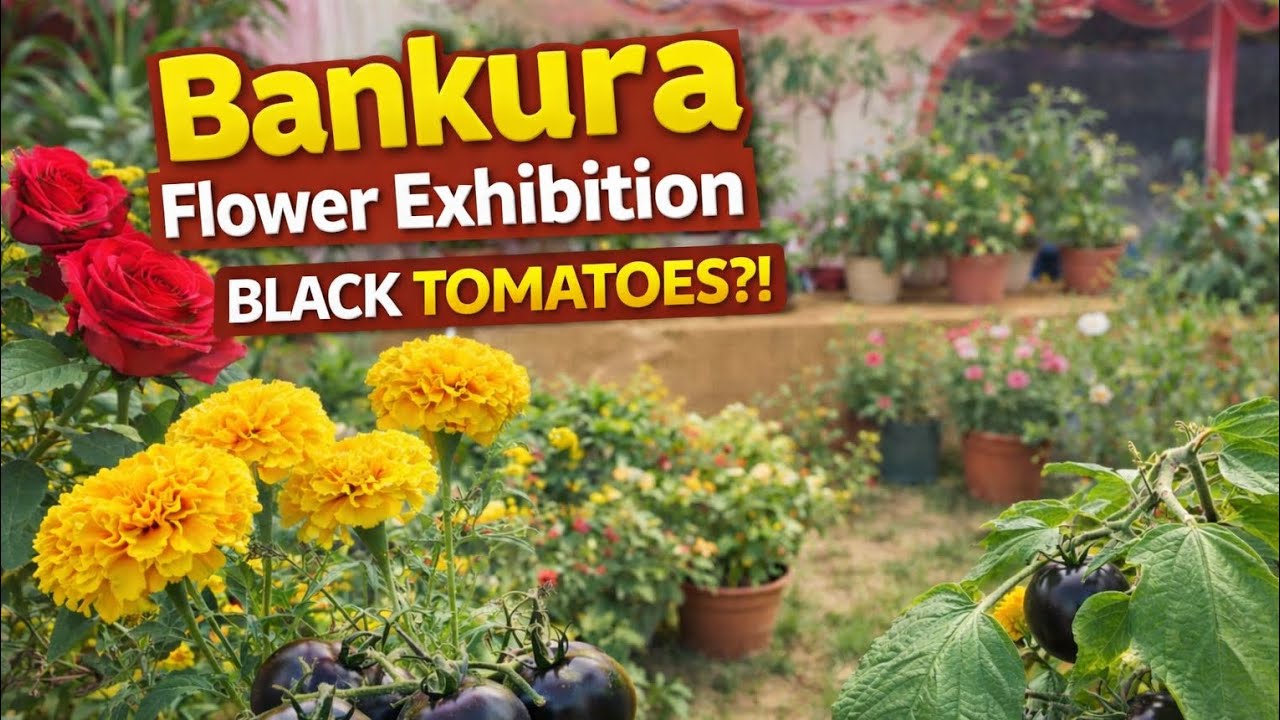 A Beautiful Day at the Bankura Flower Exhibition 🌹✨”