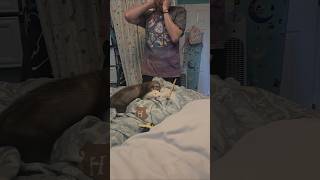 Mochi Lost To Herself