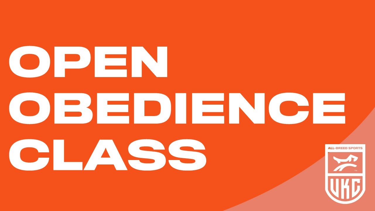 ukc-obedience-open-class-exercises-youtube
