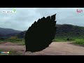 تحت رذاذ الخريف.. عدسة الرؤية في عين طبرق - صلالة