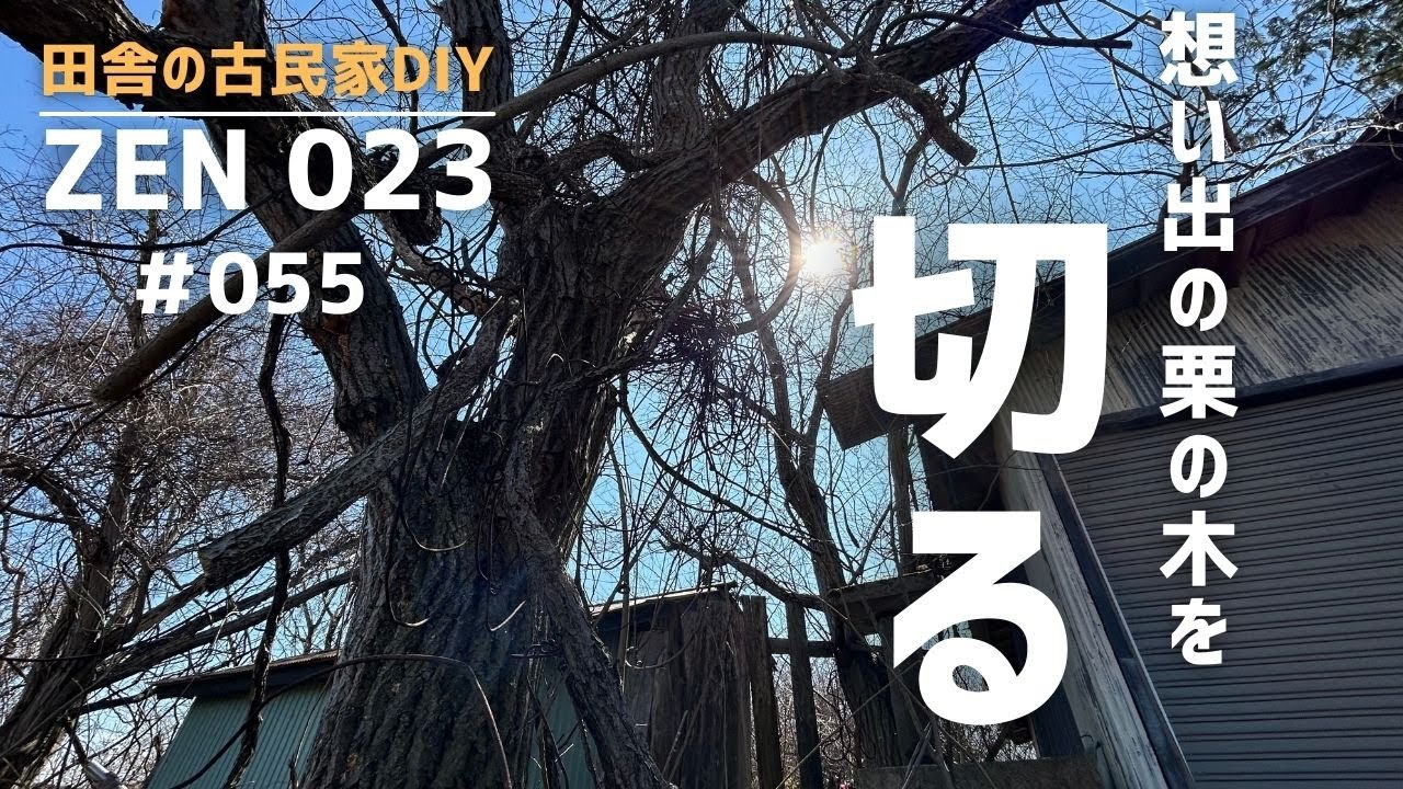【実家の開拓＆DIY】枯れた想い出の木を、切り倒す。