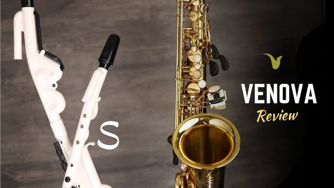 ZJCHAO Mini Sax Saxophone de poche portable Saxophone de pratique avec sac  de roseaux Instrument à vent en bois Sib Tune - Achat / Vente saxophone  ZJCHAO Mini Sax Saxophone de 