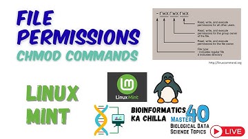 File Permission chmod Commands in Linux Mint | Manage File Access Efficiently