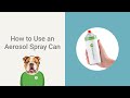 How to Use an Aerosol Spray Can to Touch Up Your Car Paint! | TouchUpDirect