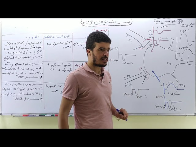 حل التمرين 1 اتصال عصبي ( سلسلة 50 تمرين ) .