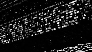 TAKEO SUZUKI - ’Distant Memory’ (Official Video) | Experimental Electronica