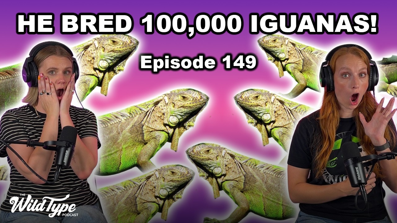 Reacting to Monsters of God Episode 4! | Episode 149