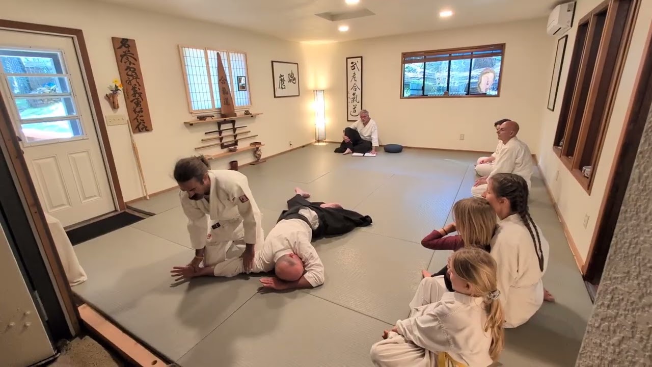 Aaron 4 Kyu Aikido test