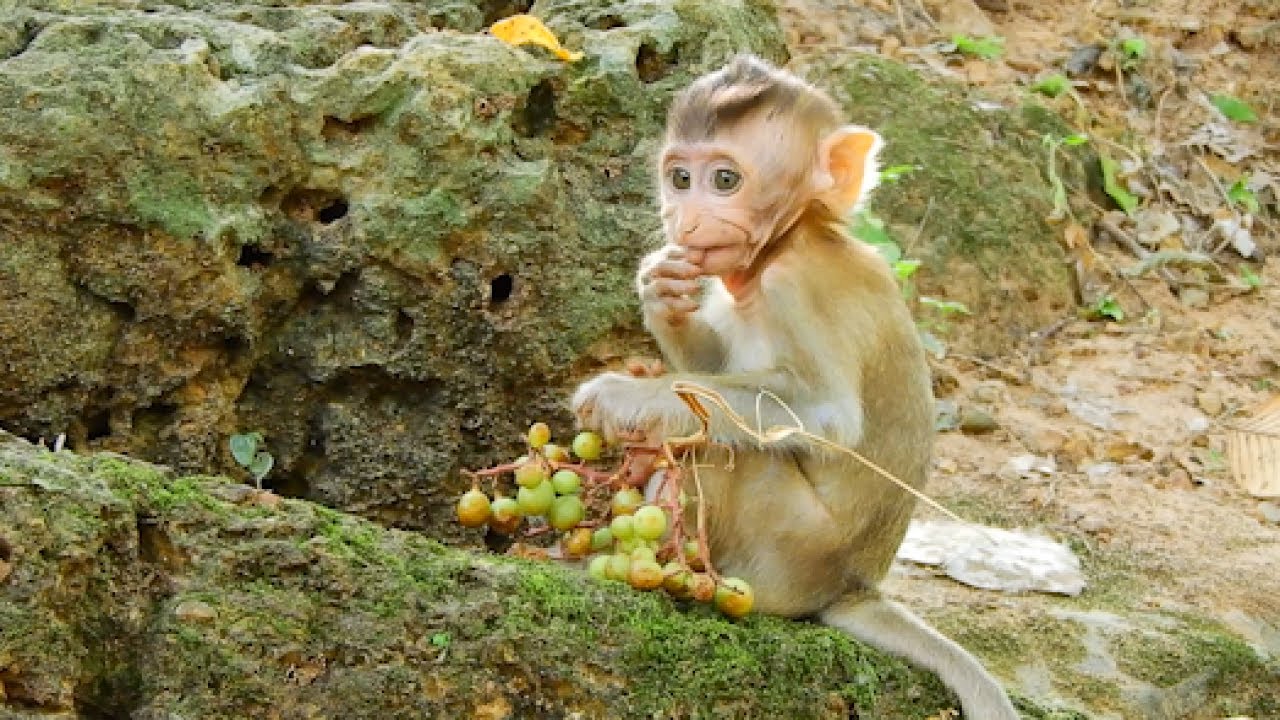 Brandy So Fresh With This Fruits
