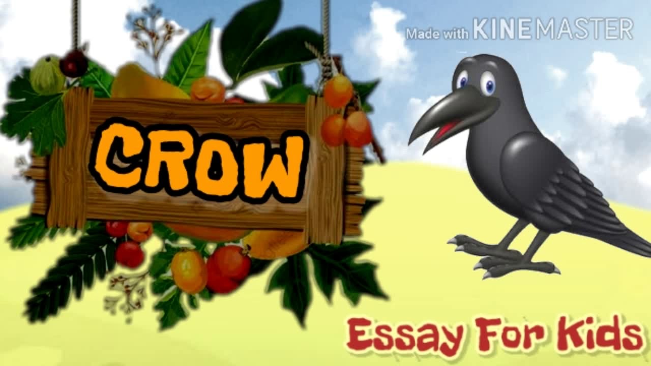 information about crow essay