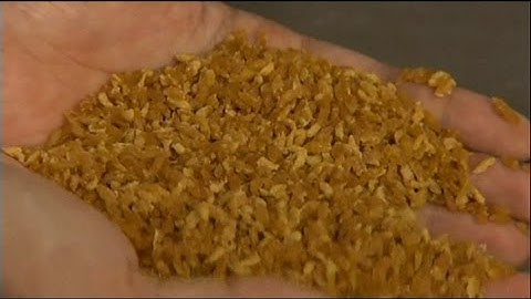 euronews science - Breaking the Indonesian rice habit