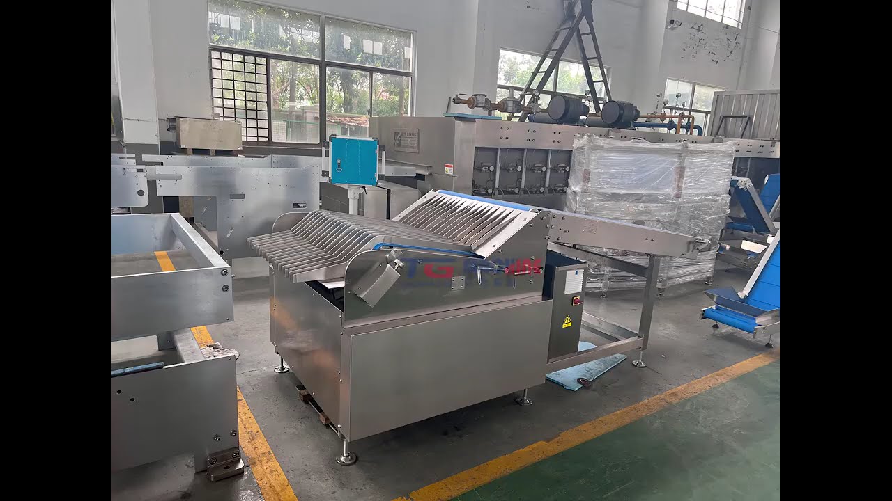 TGMachine---fully automatic biscuit machine package video