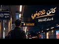   كائن ثلاثيني                                         حالتي