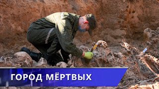 Город мёртвых.  Под Лепелем нашли братскую могилу времён войны (03.04.2025)