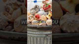 Garbage Man Reveals Weirdest Trash Ever!